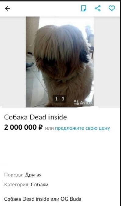 1000-7