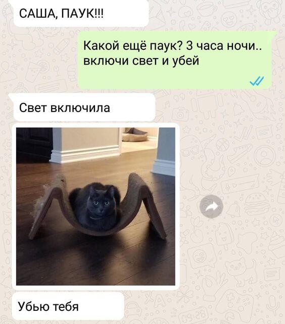 Те самые животные Австралии
