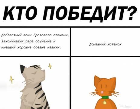Пов книга стань диким