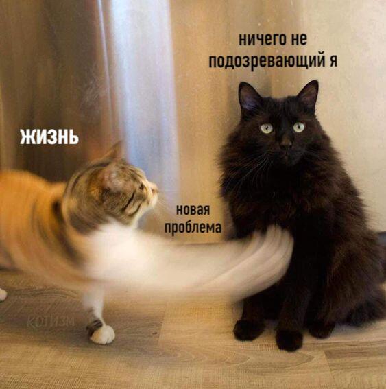 Жиза
