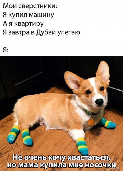 Что это, если не жиза