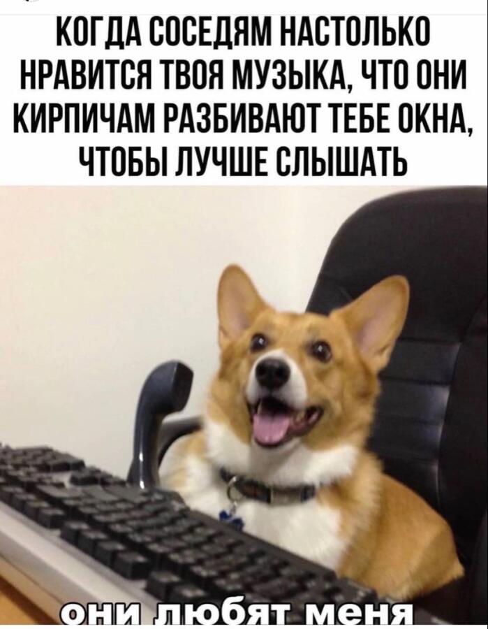Мем от Lord of the Corgi