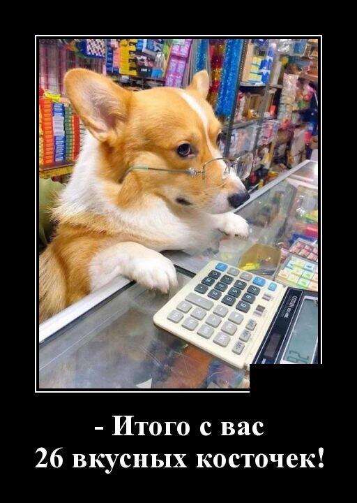 Гавсультант
