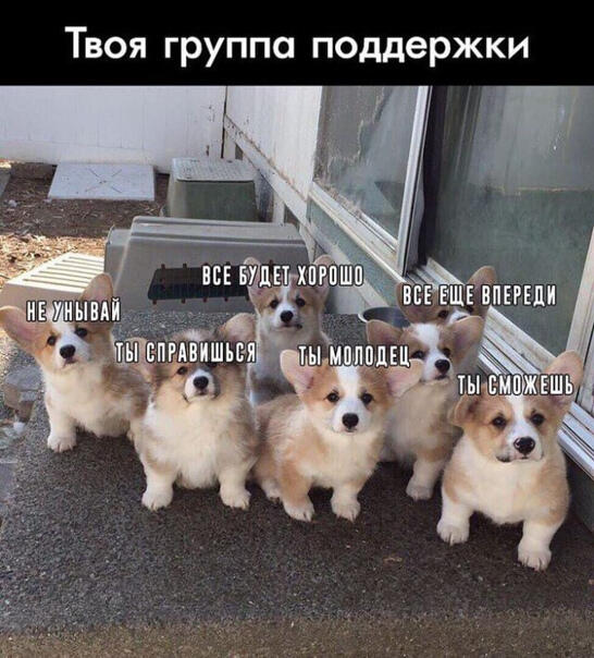 Немного позитива в ленту