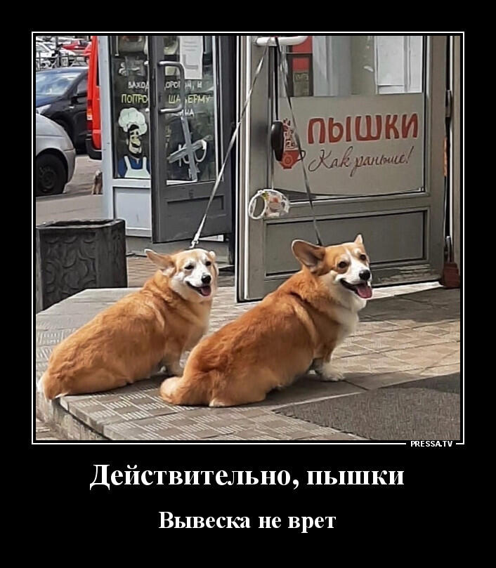Мем без подписи