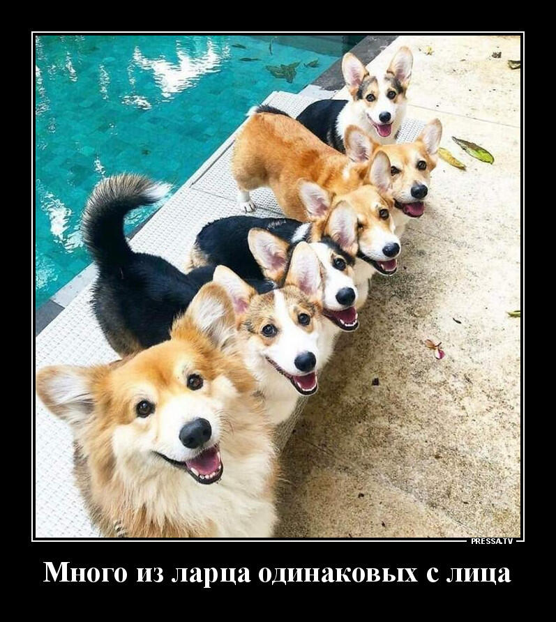 Мем без подписи