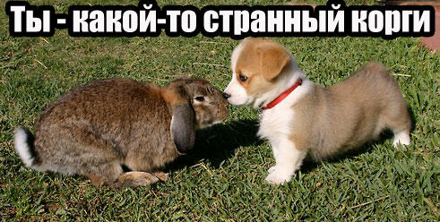 Каждый человек с плохим зрением такой: