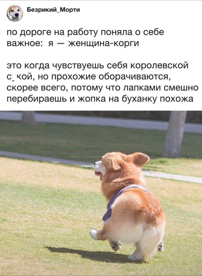 Мем без подписи
