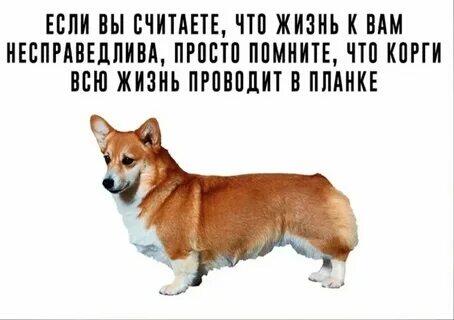 Просто помните
