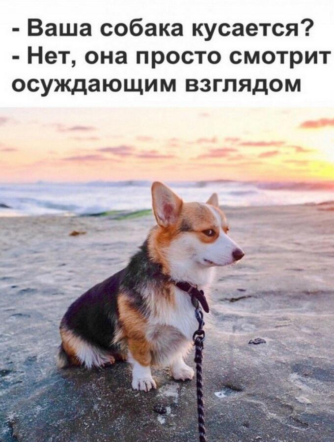 Мем без подписи