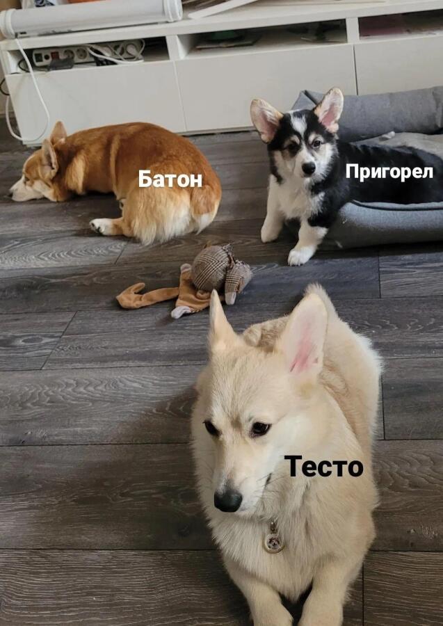 Все стадии сладкой булочки