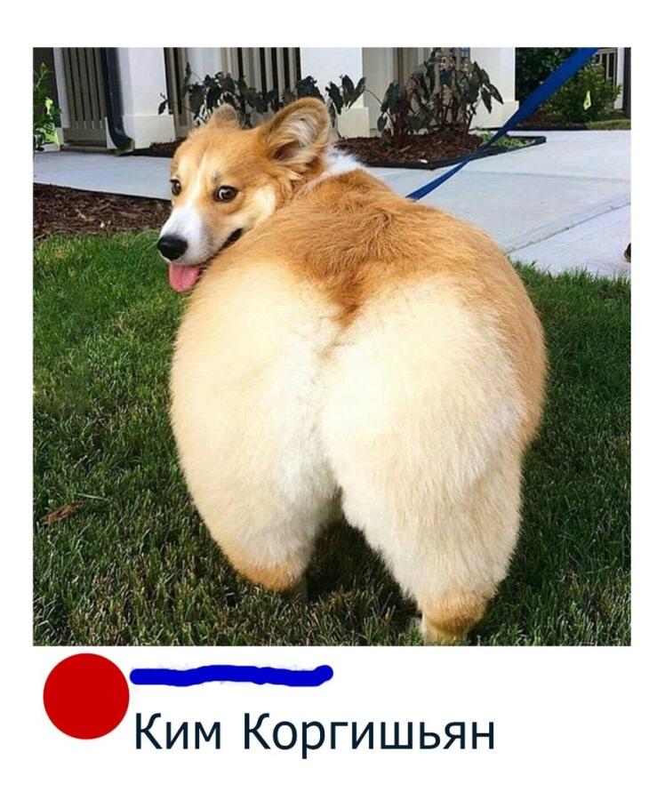 Мем без подписи