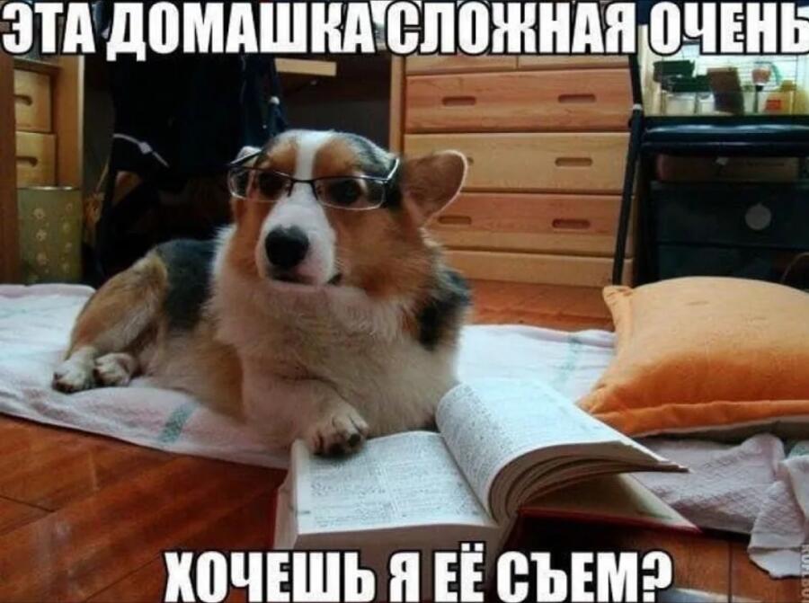 Мем без подписи