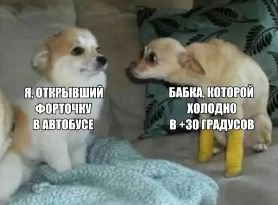 Это слишком жизненная жиза