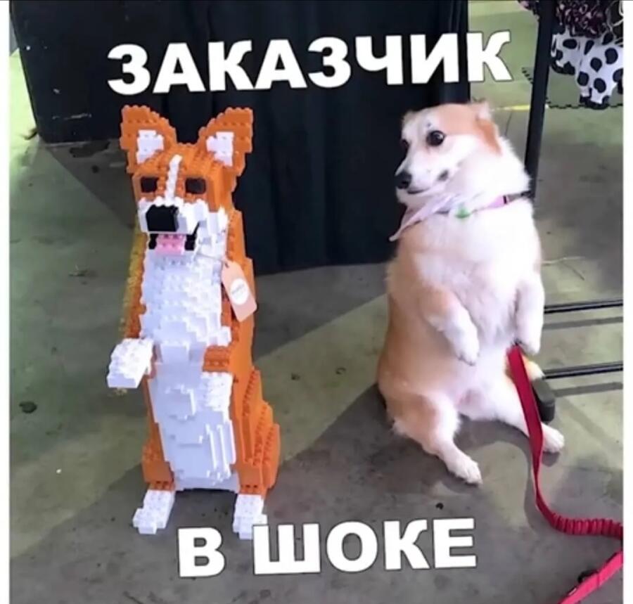 Мем без подписи
