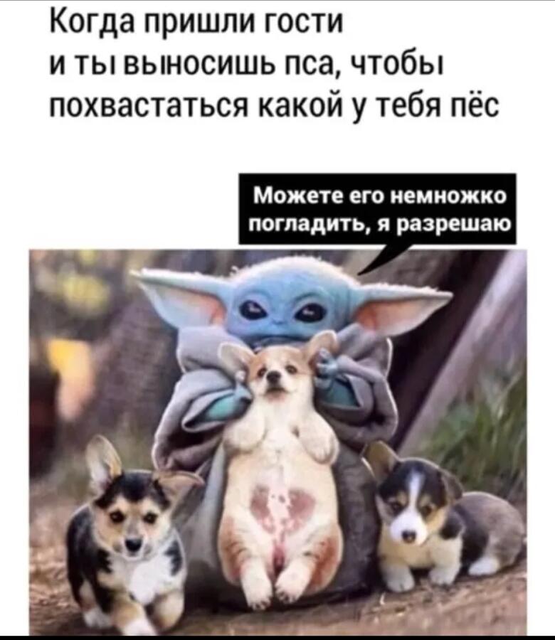 Мем без подписи
