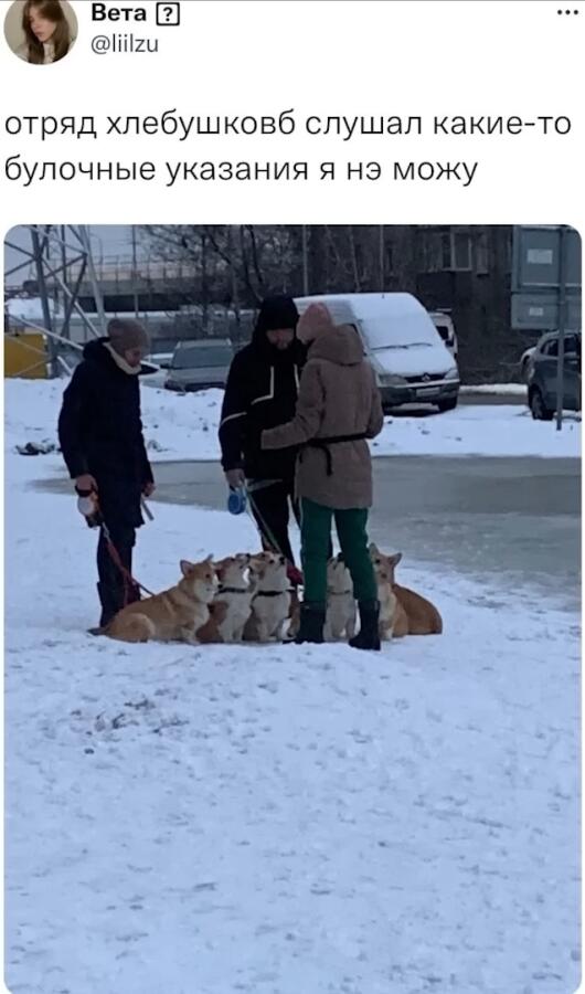 Милота