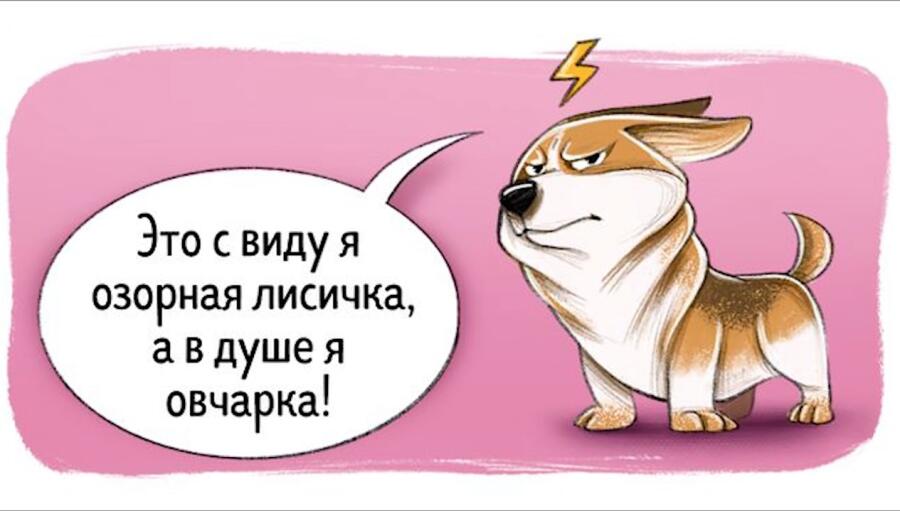 Мем без подписи