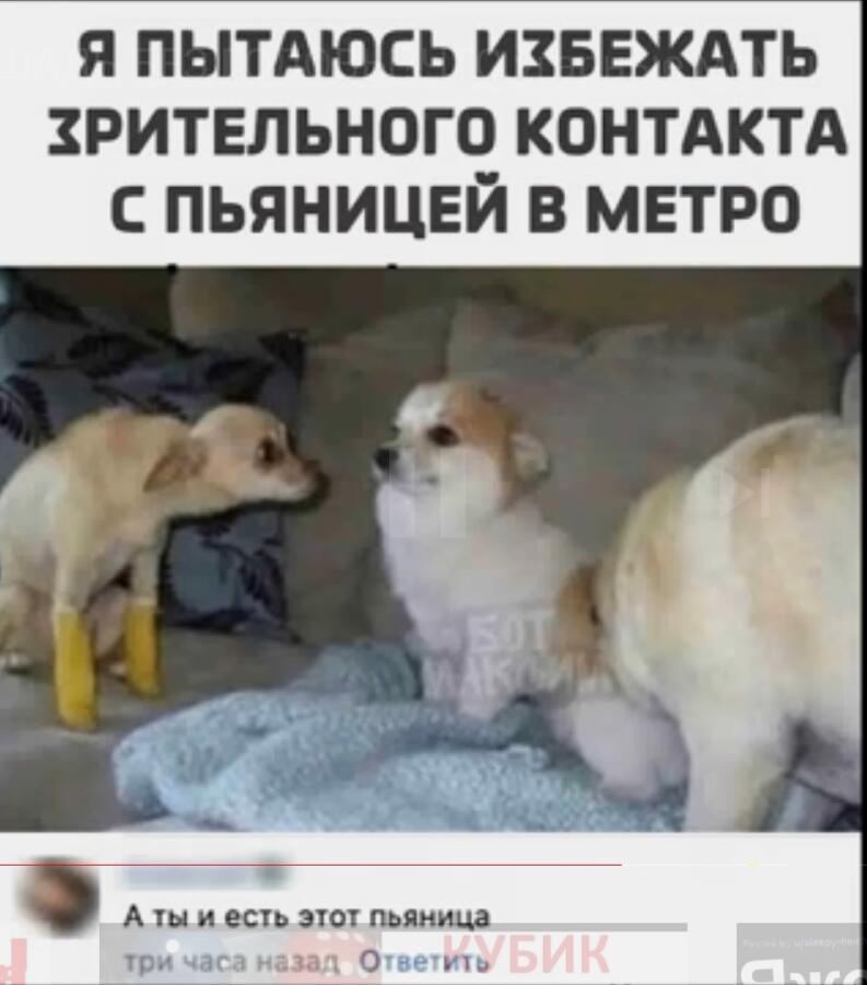 Мем без подписи