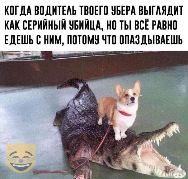 Мем без подписи