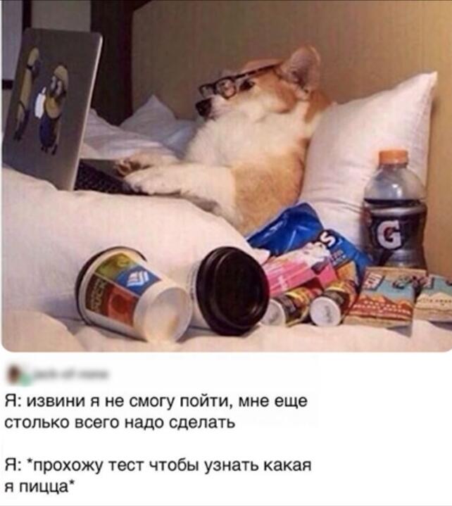 Мем без подписи