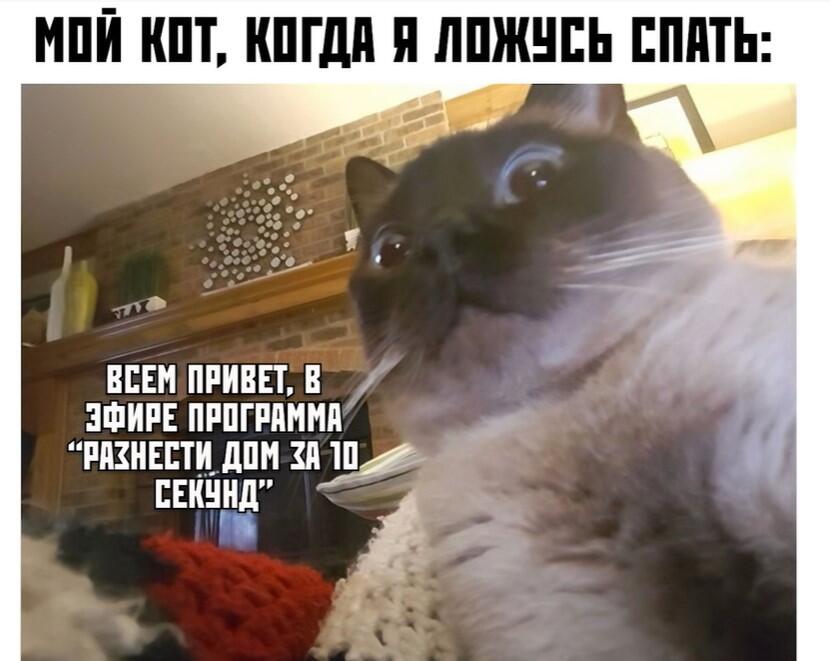 Мем без подписи
