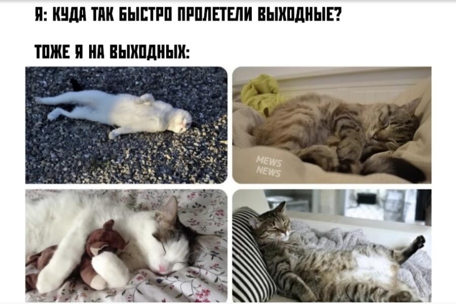Мем от Danila5199