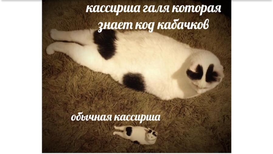 Мем от Danila5199