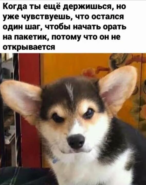 Мем от жабук