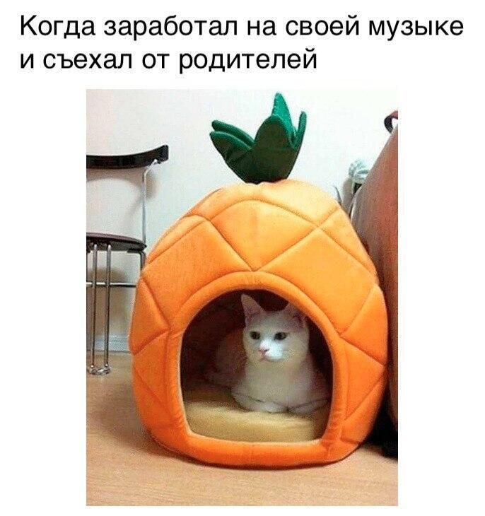 Мем от жабук