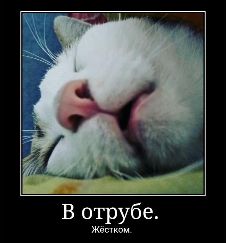 А это ты когда решил поймать деда мороза в детстве: