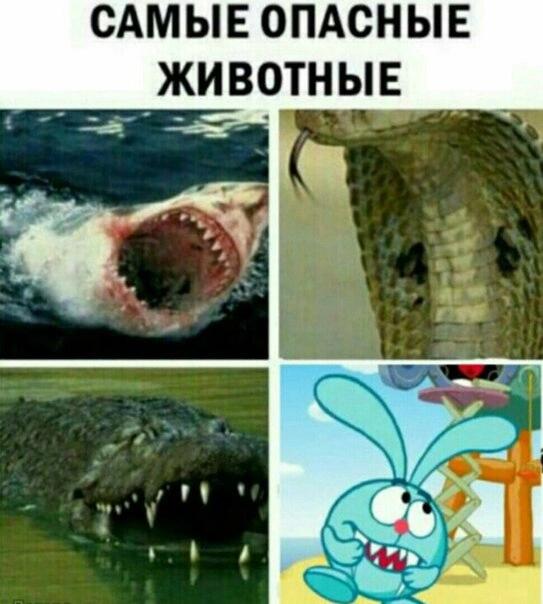 Мем от Ксю