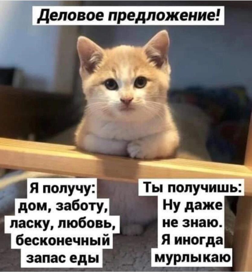 Ну, давай 
Оно очень хорошее, ПРИНИМАЮ