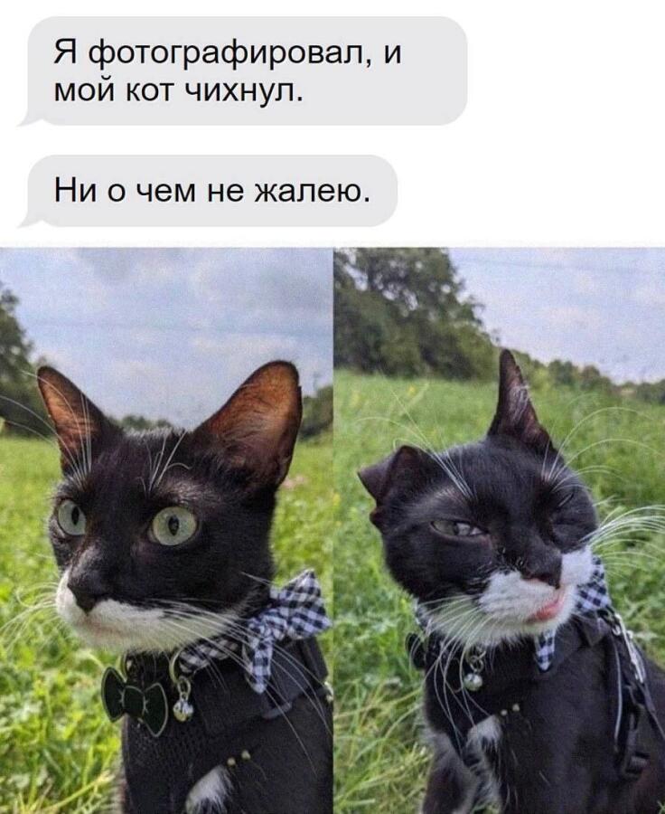 (подпишись позязя)