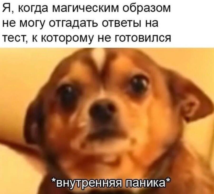 Серьёзно что за магия