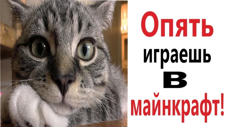 Я да