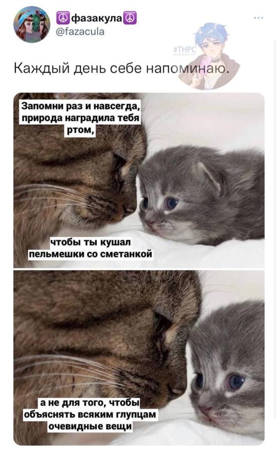 Мем без подписи