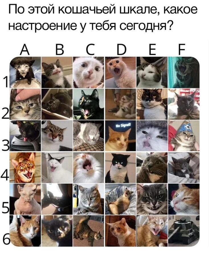 Мем без подписи