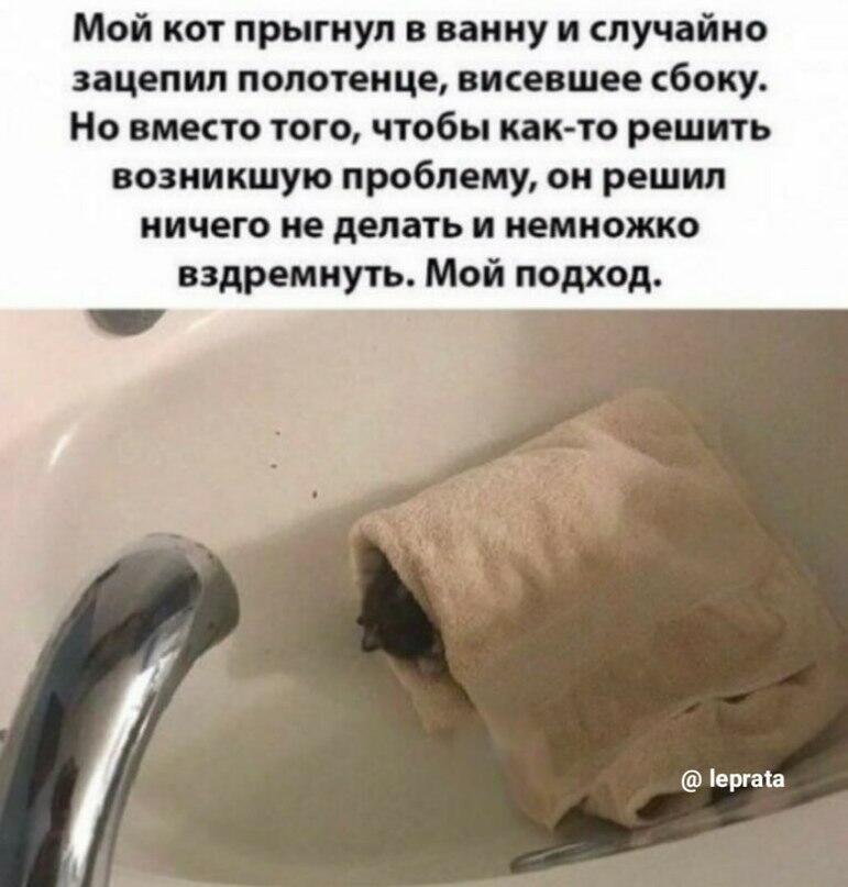 Мем от Китя жрёт мандарины