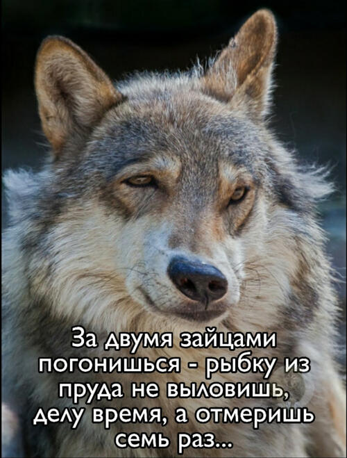 Мем без подписи