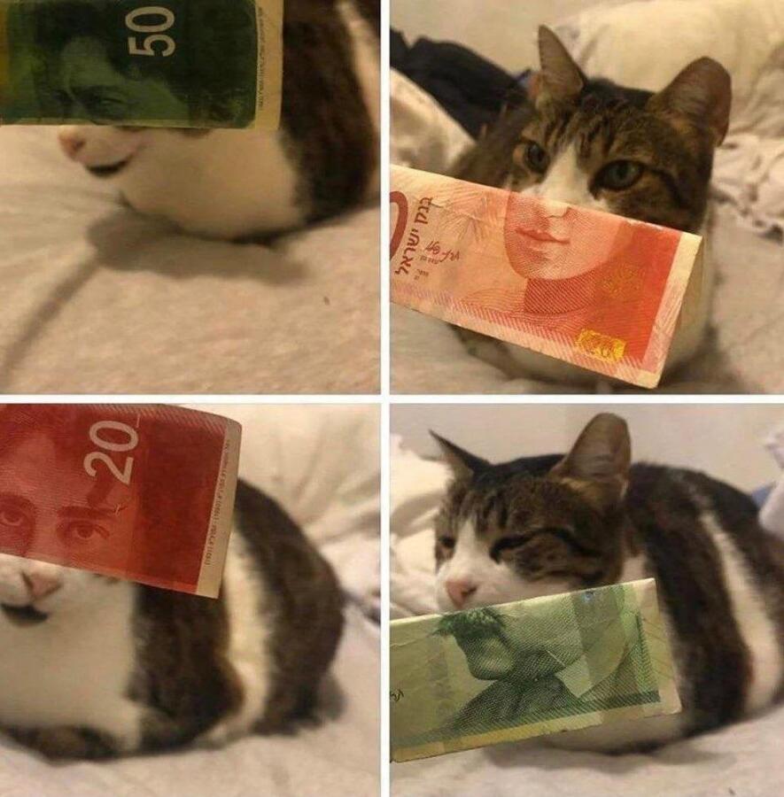 Мем без подписи