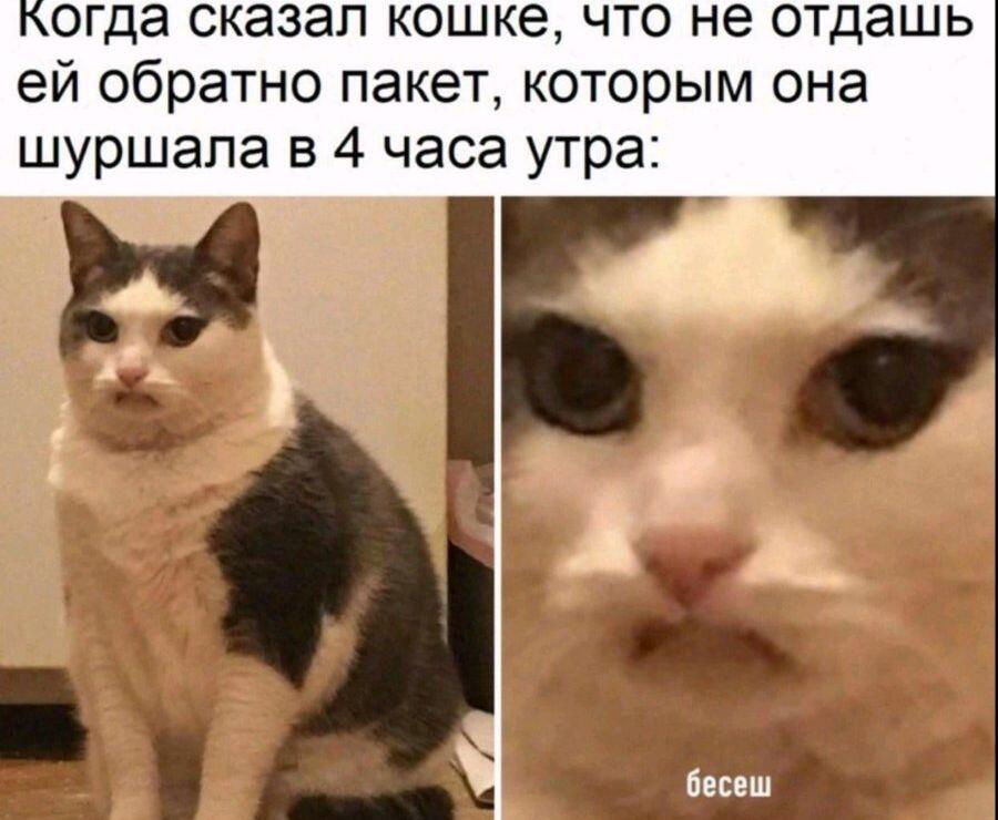 Мем от Китя жрёт мандарины