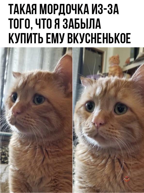 Мем от Китя жрёт мандарины