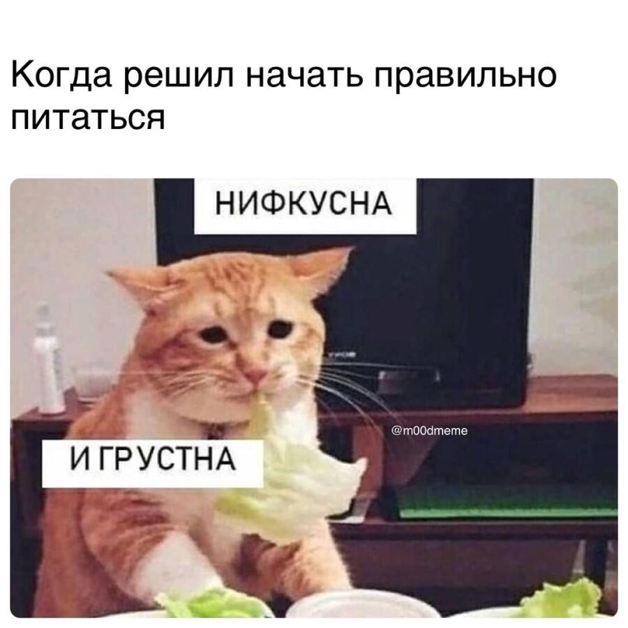 Нифкууууснаааа(((
