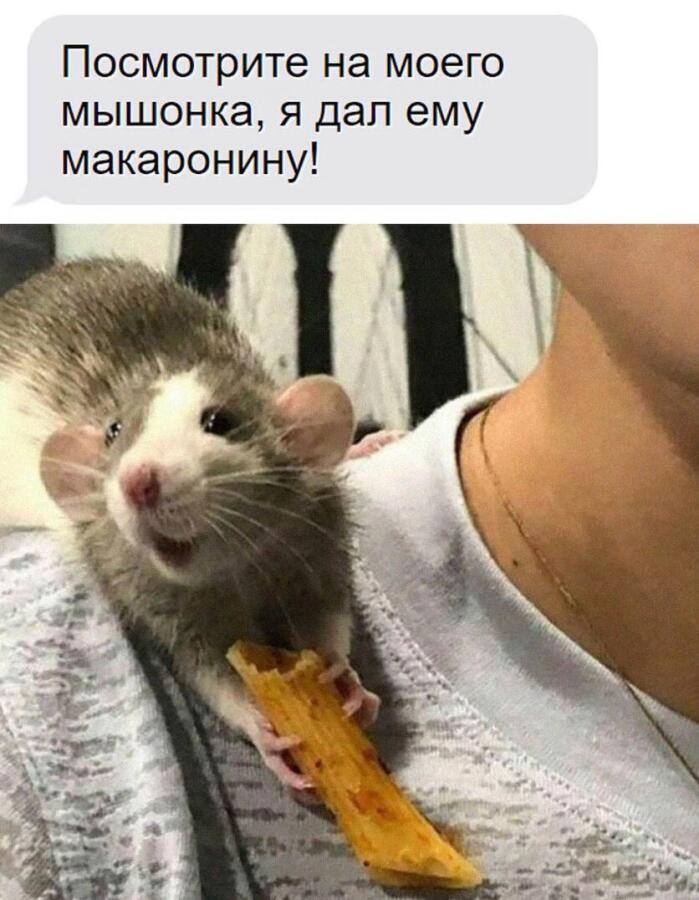 Мем без подписи