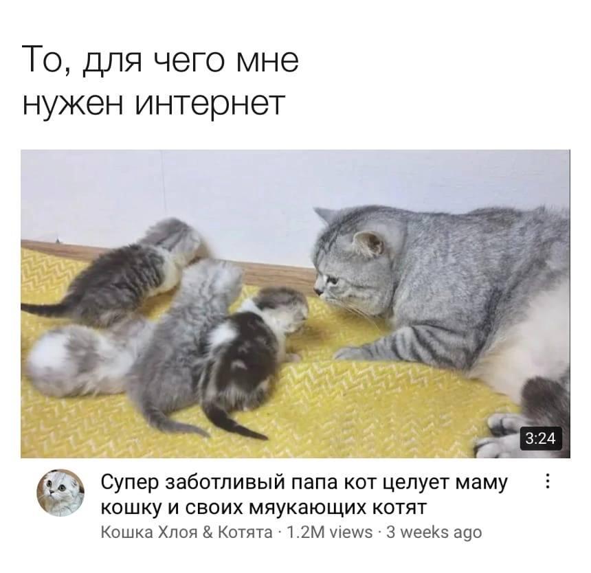 Мем без подписи