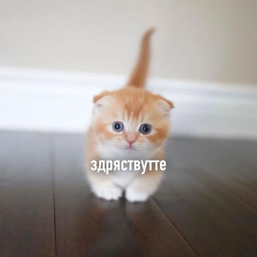 Мем без подписи