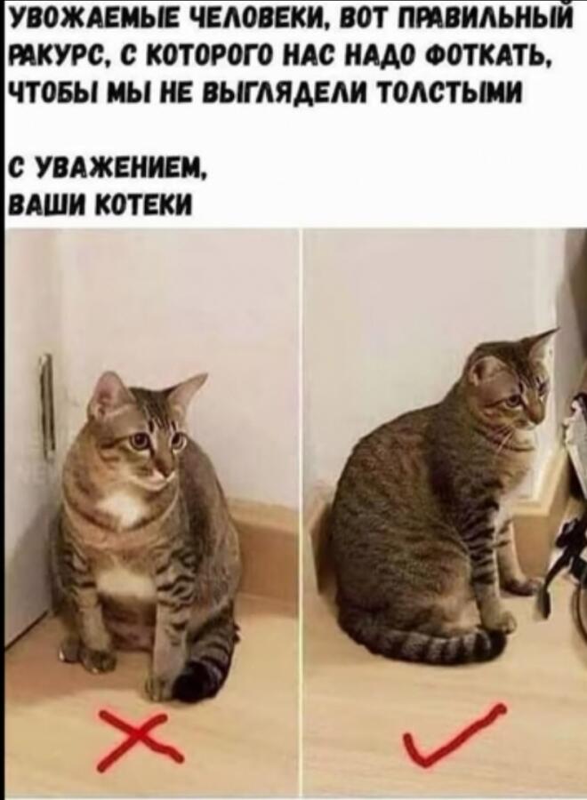 Мем от Китя жрёт мандарины