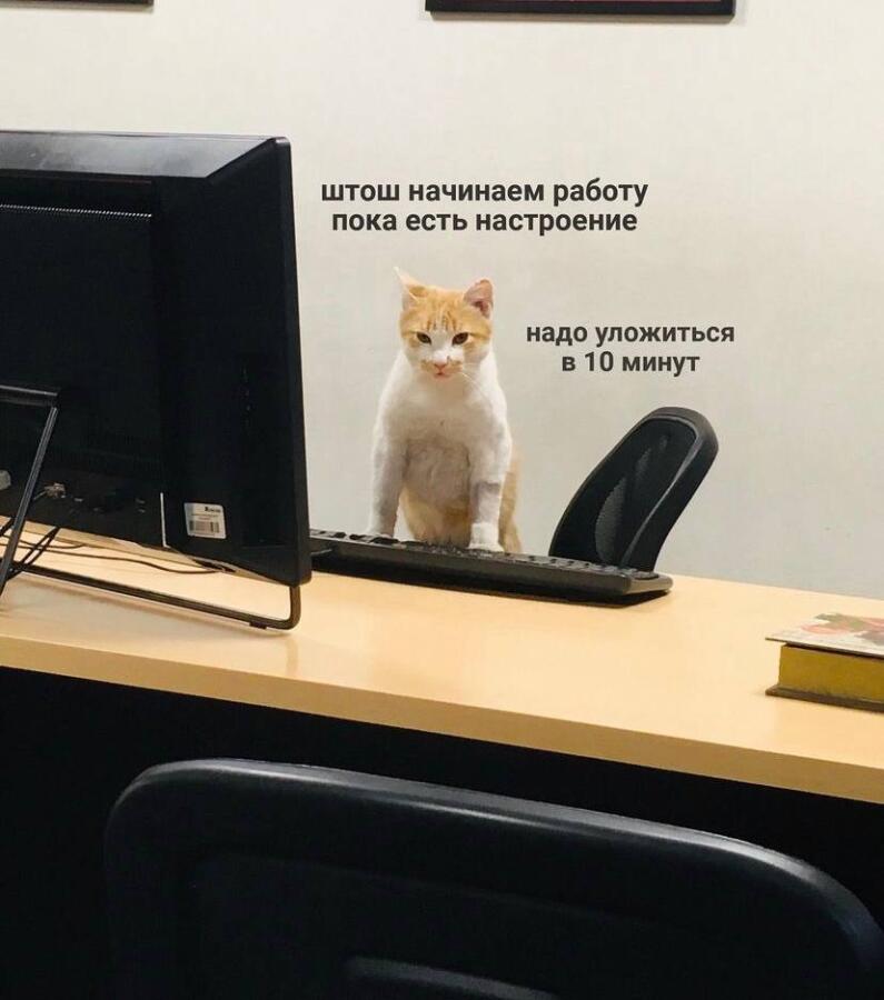 Мем от Китя жрёт мандарины