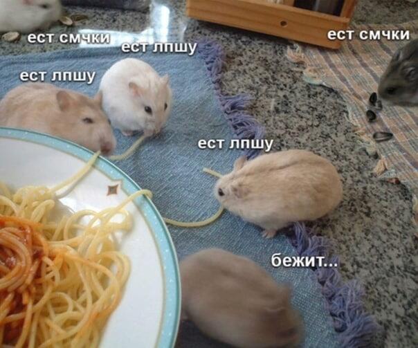 Подпишись:_)